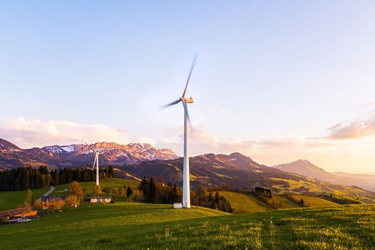 impulsar uso energias renovables