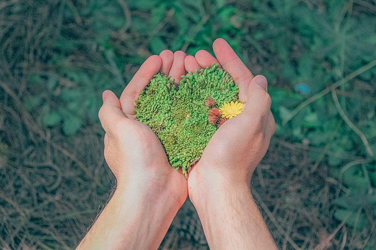 invertir en energías renovables