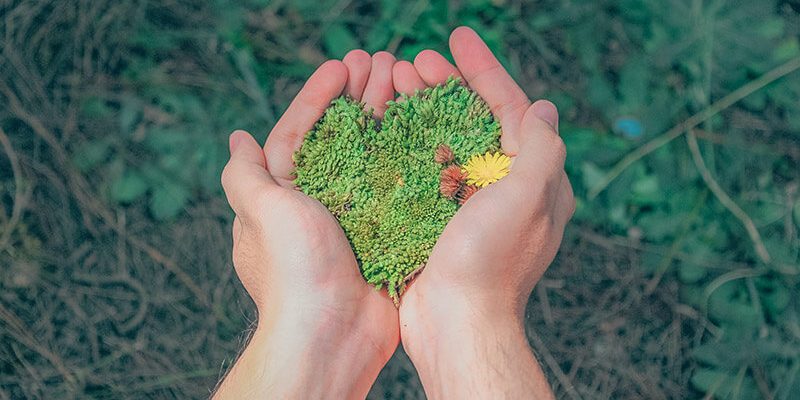 invertir-energias-renovables (1) invertir en energías renovables